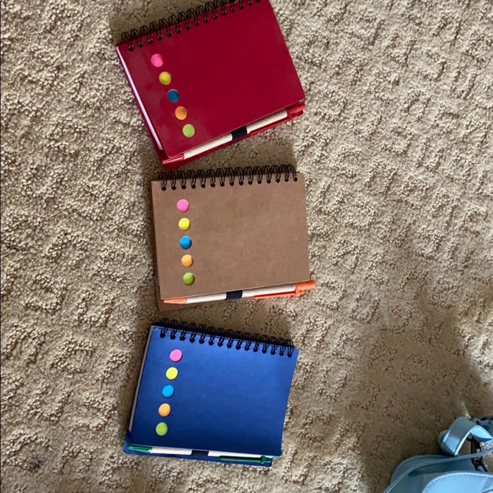 3 Mini notebooks